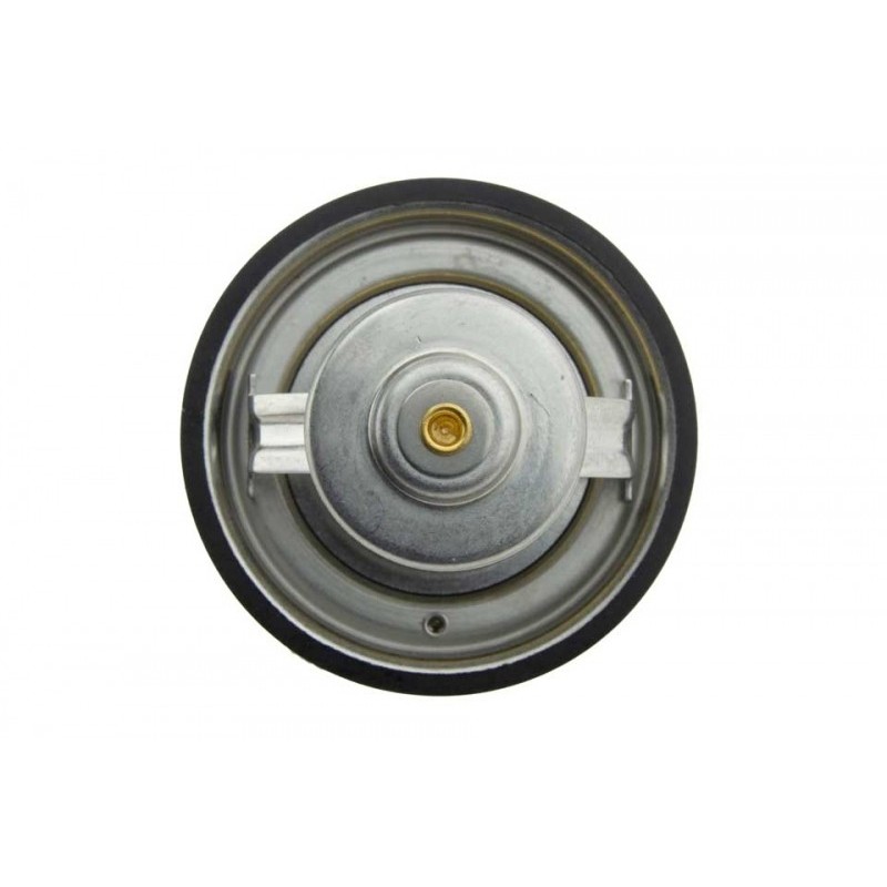 Termostat Audi 80, 100, A4, A6, A8, Skoda Superb, Vw Passat, Lt, Jaguar S-Type, Xj, Xk, 77121113