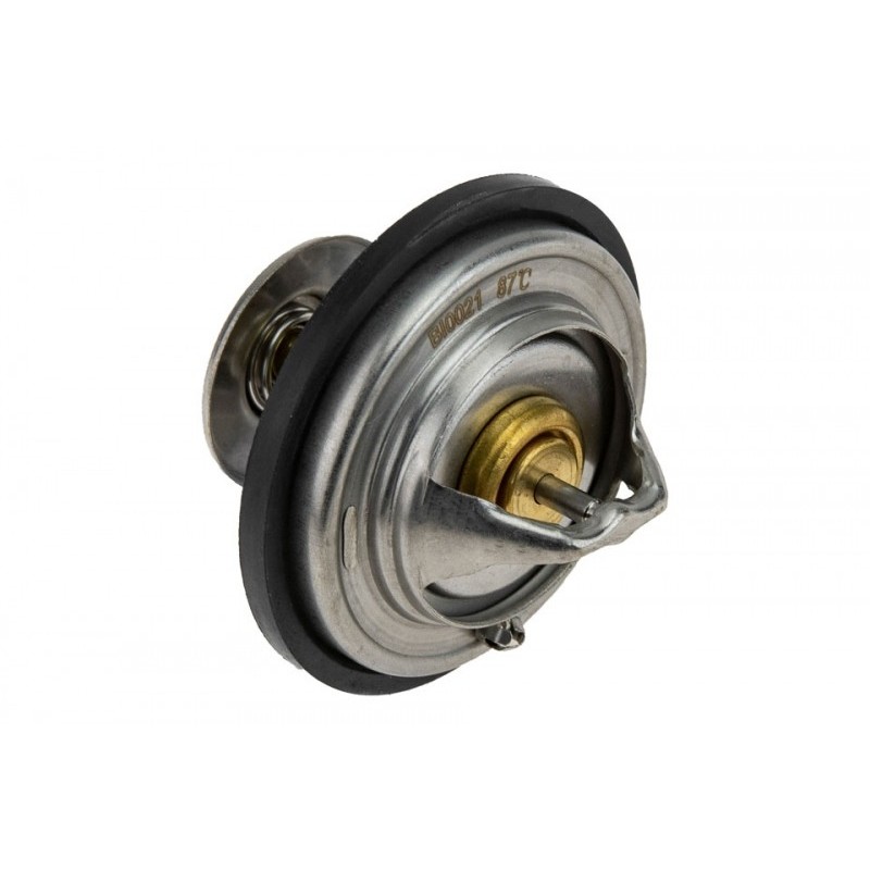 Termostat Audi A8 2007-, A6 Avant, 077121113C