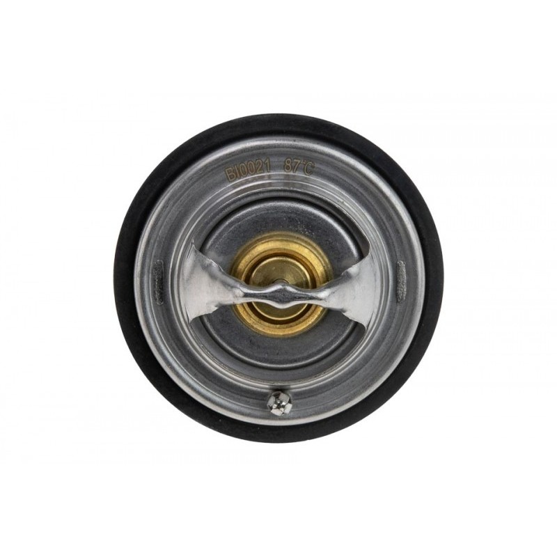 Termostat Audi A8 2007-, A6 Avant, 077121113C