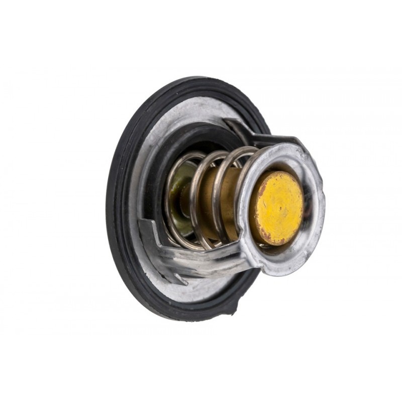 Termostat Hyundai, Kia, Nissan, Renault, Dacia, 255002B000