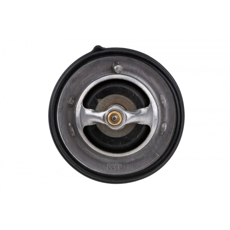 Termostat Hyundai, Kia, Nissan, Renault, Dacia, 255002B000