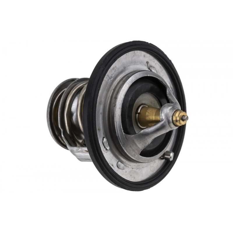Termostat Nissan, Renault, Opel, Fiat, Chevrolet, Ford, Lancia, Chevrolet, 212006N210