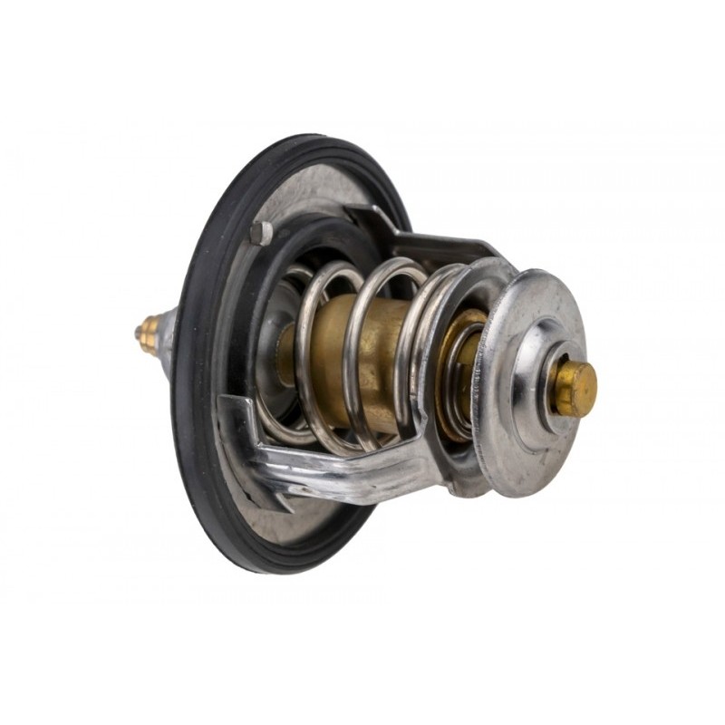 Termostat Nissan, Renault, Opel, Fiat, Chevrolet, Ford, Lancia, Chevrolet, 212006N210