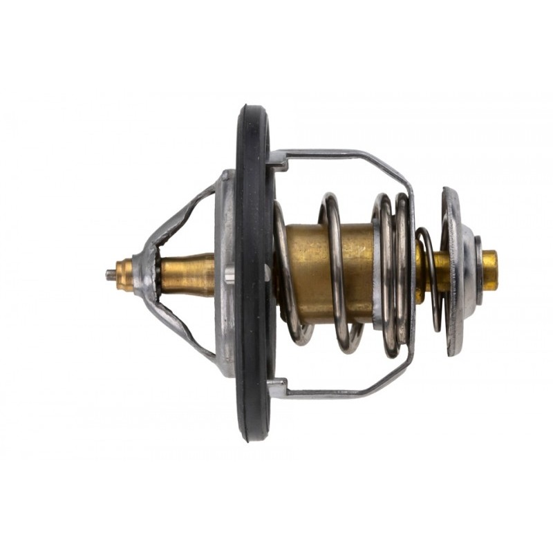 Termostat Nissan, Renault, Opel, Fiat, Chevrolet, Ford, Lancia, Chevrolet, 212006N210
