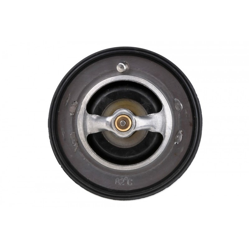 Termostat Nissan, Renault, Opel, Fiat, Chevrolet, Ford, Lancia, Chevrolet, 212006N210