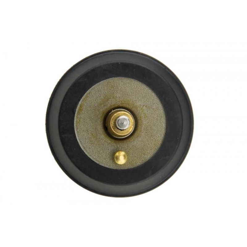 Termostat Vw Beetle 2.0 2012-, Jetta 4 1, 8, 2.0 2012-, 06H121121L
