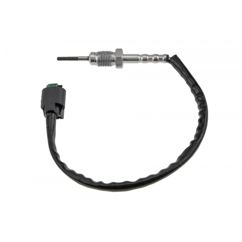 Senzor temperatura gaze ardere motor 3.0d, 4.4d Bmw 3(E90, E91, E92), 5(E60, E61), 6(E63, E64), 7(E65, E66, E67), X5(E70); 2005-2013, dupa catalizator, 13627806251