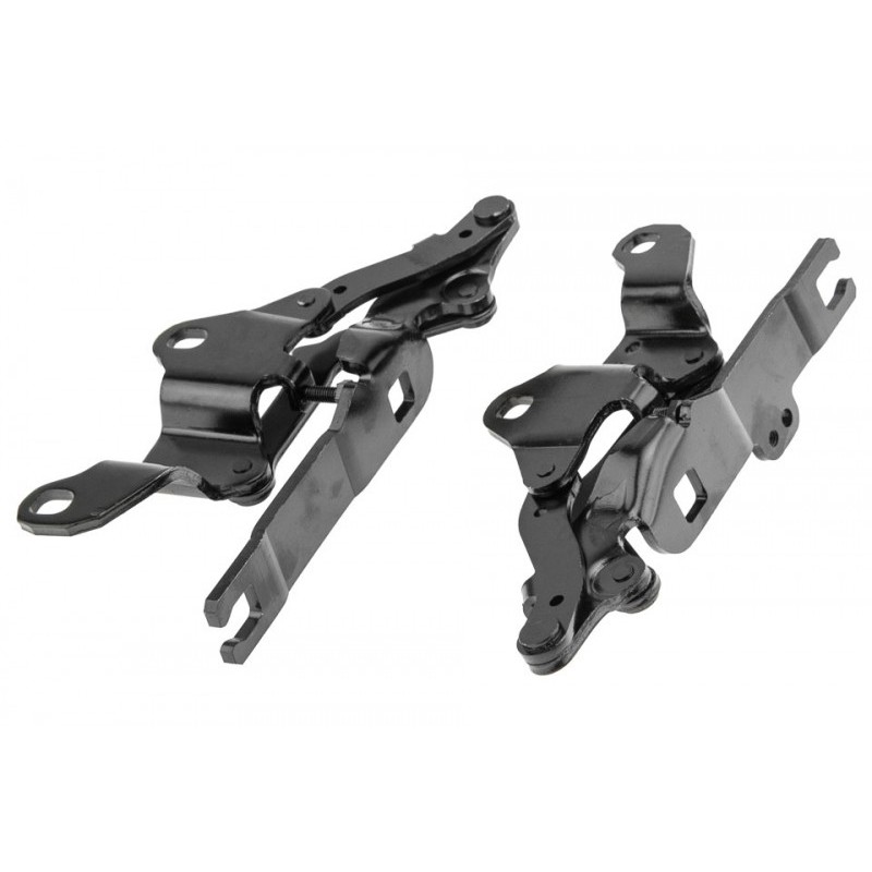 Set balamale capota motor Bmw Seria 3 E90 2004-, Stanga, Dreapta, 41617210677