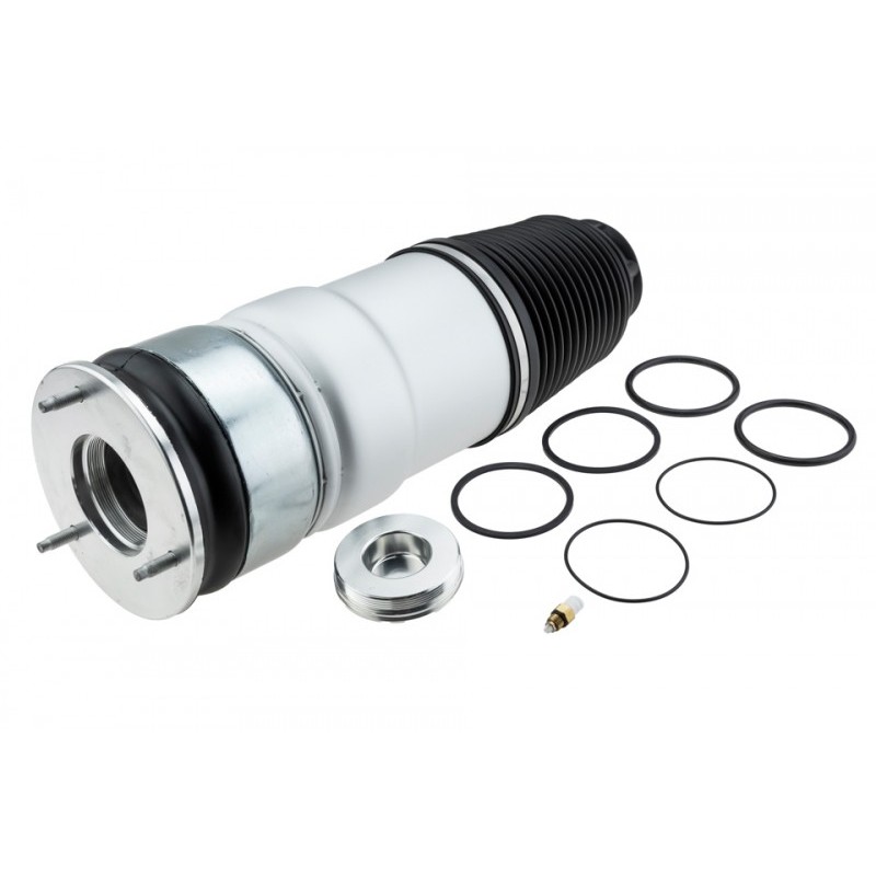 Burduf suspensie pneumatica Tesla Model S 2012-, Fata-partea Stanga, Dreapta, 6006351-00-C