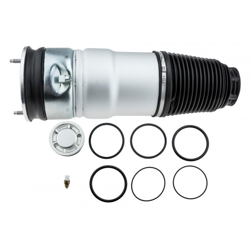 Burduf suspensie pneumatica Tesla Model S 2012-, Fata-partea Stanga, Dreapta, 6006351-00-C