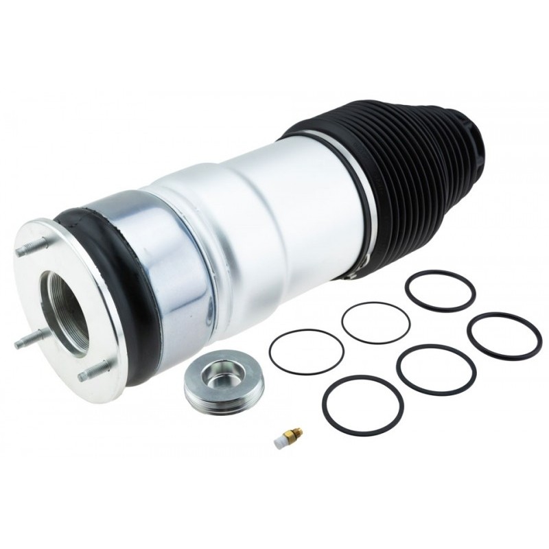 Burduf suspensie pneumatica Tesla Model S 2012-, Spate-partea Stanga, Dreapta, 6006353-04-A