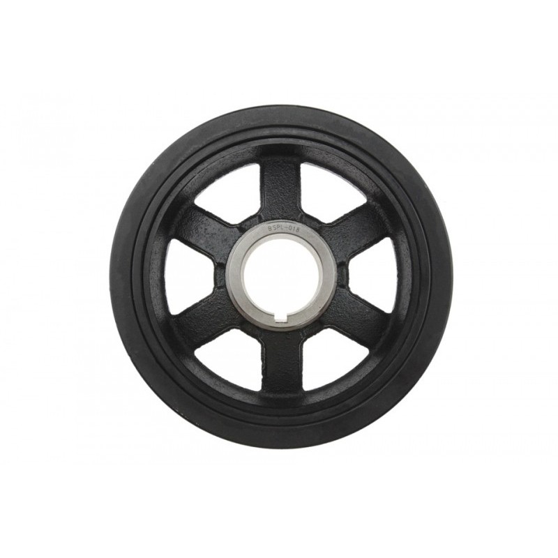 Fulie curea arbore cotit Opel Antara 2006-, Chevrolet Captiva 2007-, 12615141