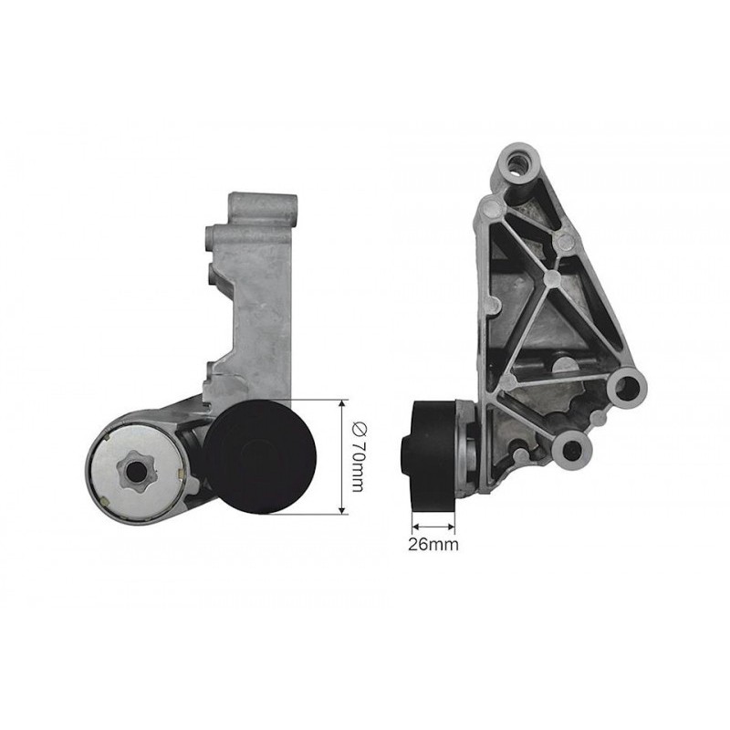 Rola intinzator curea distributie Ford Focus 1998-2004, Transit 2002-2013, 1069359