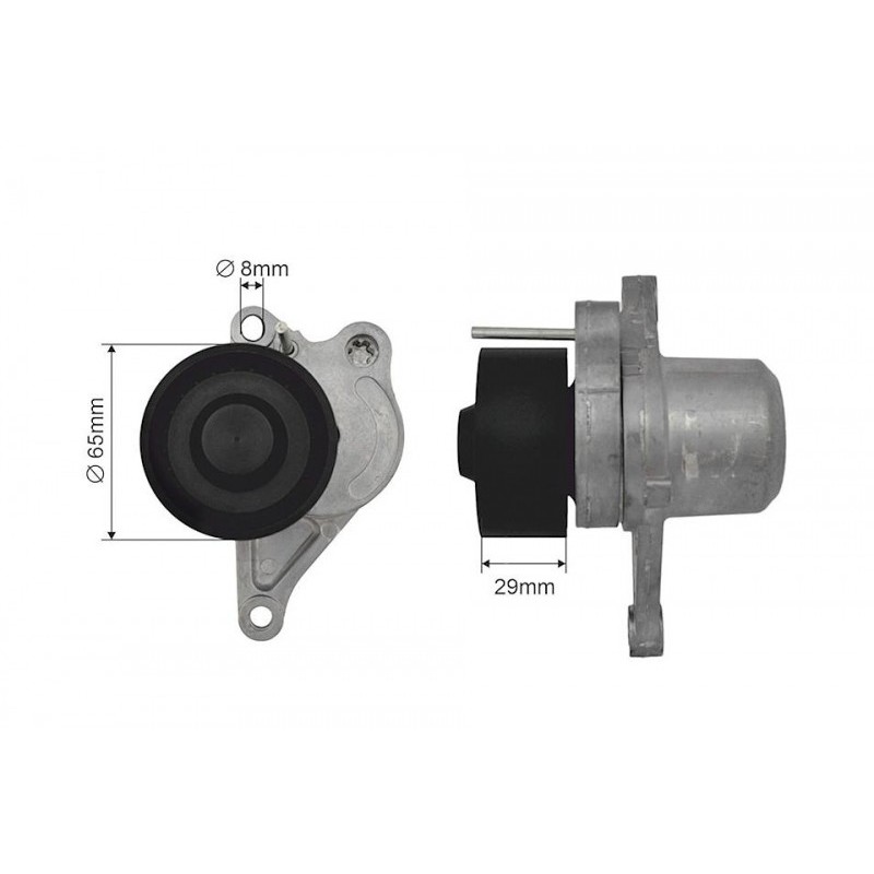 Rola intinzator curea distributie Nissan Qashqai 07-13, X-Trail 07-13, Nv400 11-&gt;, Primastar 06-&gt;, Opel Movano, Vivaro 06-&gt;, Renault Espace 4 06-&gt;, Laguna Ii, 3 01-&gt;, Megane Ii, 3 03-&gt;, Scenic Ii, 3 05-&gt;, Trafic, Master 06-&gt;, 117500969R