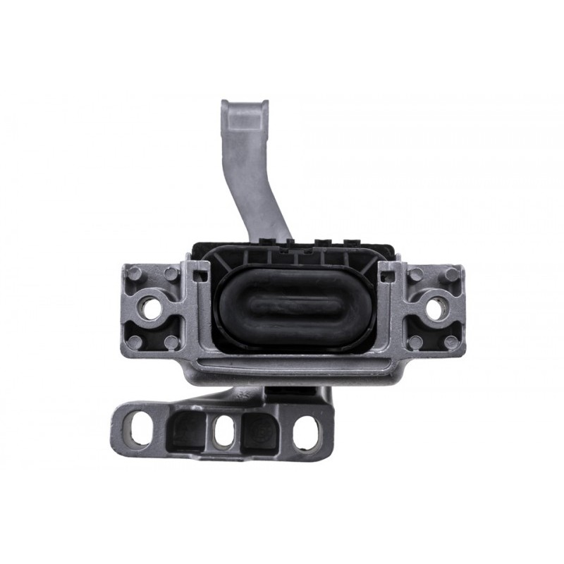 Suport motor ulei Audi A3 (8y) 2020 -, Skoda Octavia 4 2020 - 2.0 30 Tdi 16v - 85 Kw, 116 Hp, 2.0 30 Tdi 16v - 110 Kw, 150 Hp, 2.0 Tdi 16v - 105 Kw, 143 Hp, Dreapta, 5WA199262H