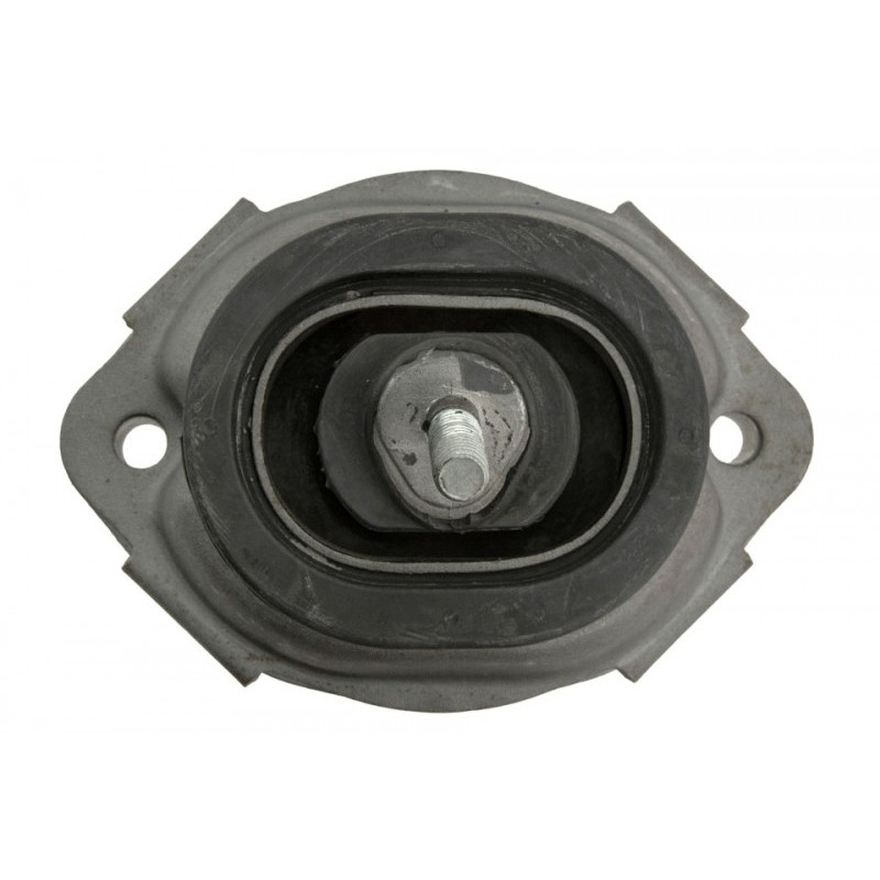 Suport motor ulei Bmw X5 E53 3.0i 1999-2006 , Fata, 22116770794