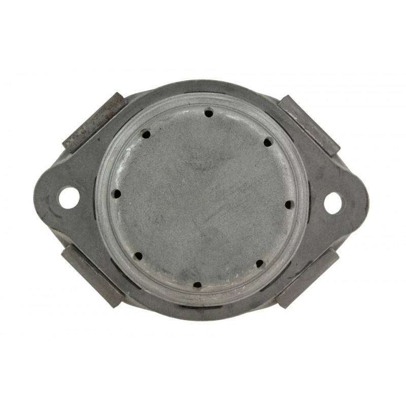 Suport motor ulei Bmw X5 E53 3.0i 1999-2006 , Fata, 22116770794