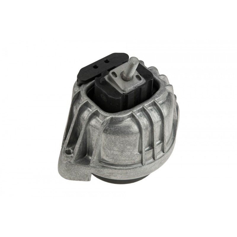 Suport motor ulei motor 1.6d, 2.0d Bmw Seria 1 E81, 82, 87, 88 2004-2013, 3 E90, 91, 92, 93 2005-2013, X1 E84 2009-2015, Z4 E89 2011-2016, Fata, 22116768800