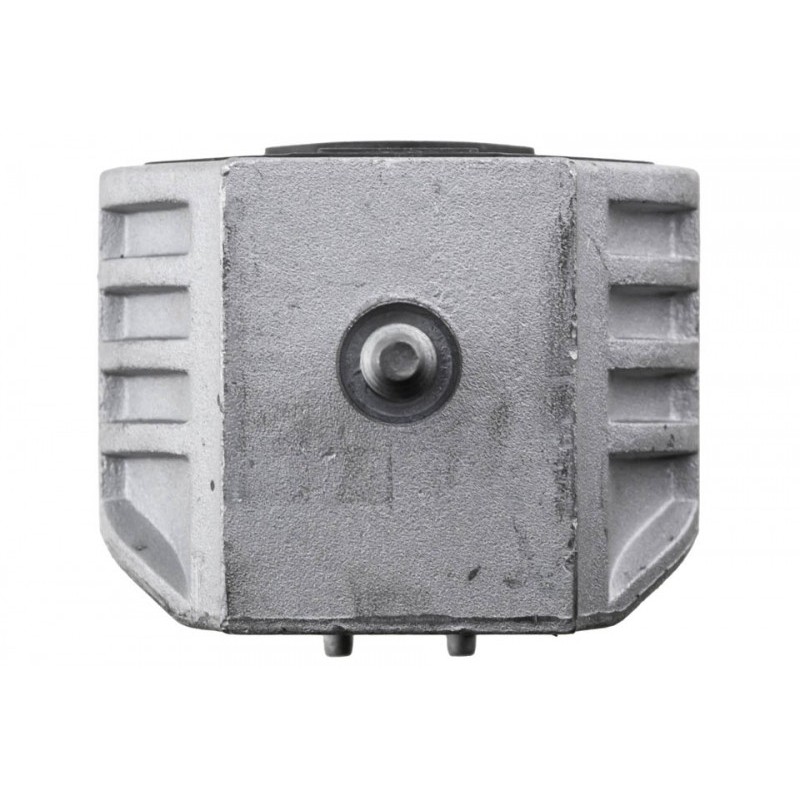 Suport motor Mercedes A (169) 2004 - 2012 A 160 Cdi 2.0 - 60 Kw, 82 Hp, Stanga, Dreapta, 1692401317