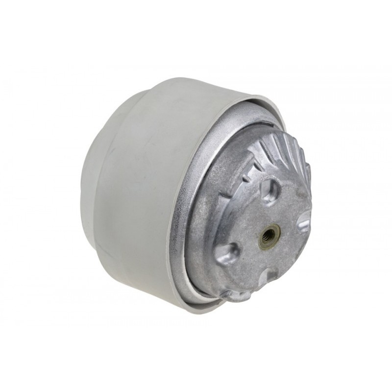 Suport motor ulei Mercedes Clk C208 200, 230, 430, Amg55 97-02, Clasa C W202 200, 200d, 230, 250d, Amg43 93-00, W203 180, 200, 230 00-03, Clasa E W210 240, 280, 320, Amg55, 250d, 300d, 320cdi 95-02, W211 200cdi 02, 2022401217