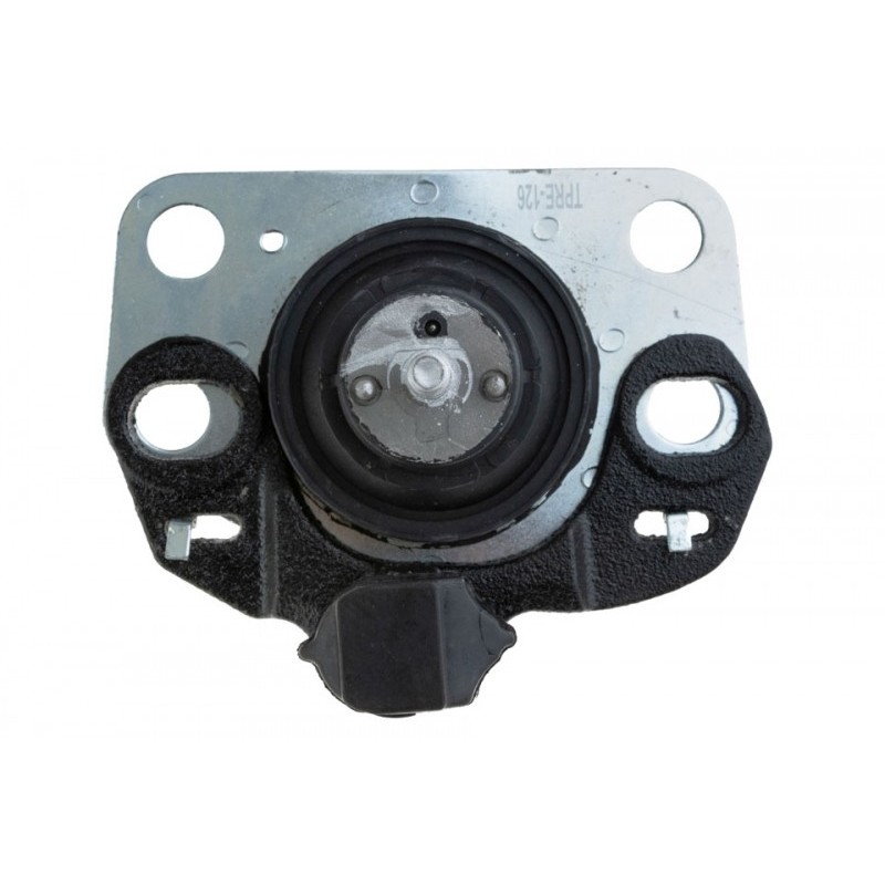 Suport motor ulei Renault Kangoo 1.9dti 2000-, Clio 2 1.9dti 1999-2005, Dreapta, 7700805123
