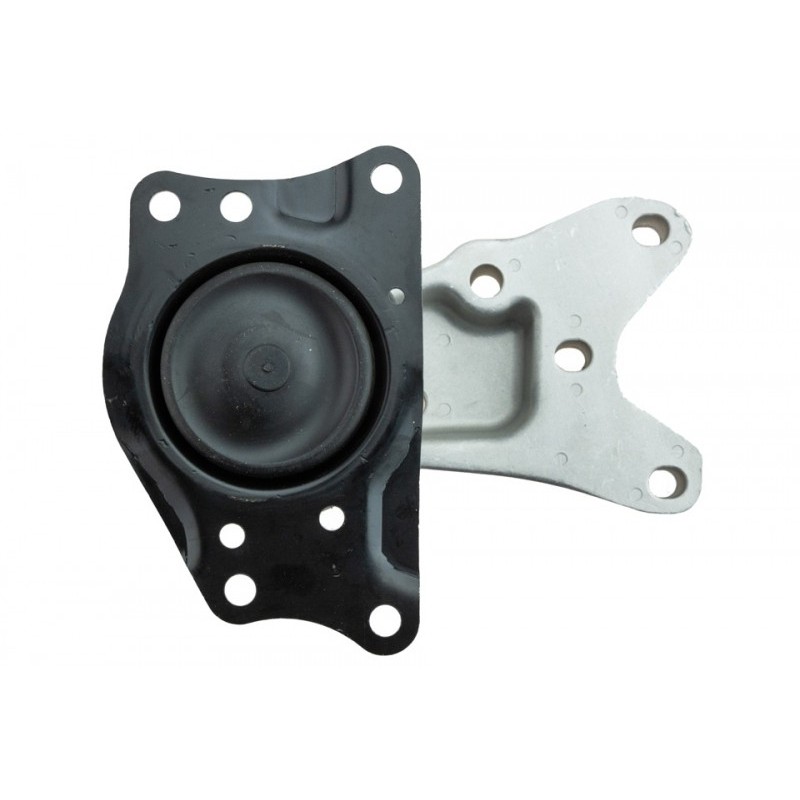 Suport motor ulei Vw Polo 2001 - 2009 -, Skoda Fabia, 2001 -, Fabia 2 2006 - 2014, Roomster 2006 -, Seat Cordoba (6l) 2002 - 2009, Ibiza 2002 - 1.2 Fsi - 44 Kw, 60 Hp, 51 Kw, 69 Hp, 1.2 - 47 Kw, 6Q0199167DA