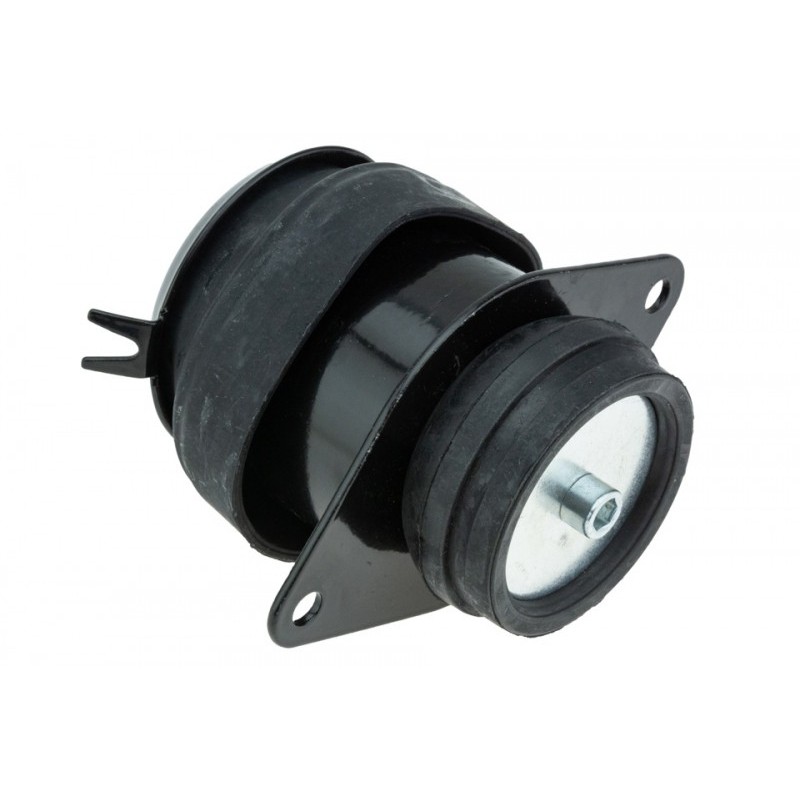 Suport motor ulei Vw Caddy 2 1.6, 1.9d, Sdi 95-04, Polo 1.0, 1.4, 1.4tdi, 1.9d, Sdi -01, Golf Iii, Vento 1.4, 1.6, 1.8, 1.9d, Sdi, Td, Tdi, 2.0 91-97, Seat Ibiza Ii, Cordoba 1.4, 1.6, 1.8, 1.9d, Td, 2.0 -02, Spate, 1H0199262A