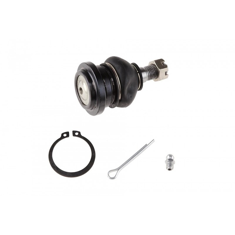 Pivot brat suspensie Lexus Is200, 300 1999-, Fata Superior, 48610-29055 Pivot brat suspensie Lexus Is200, 300 1999-, Fata Superior, 48610-29055