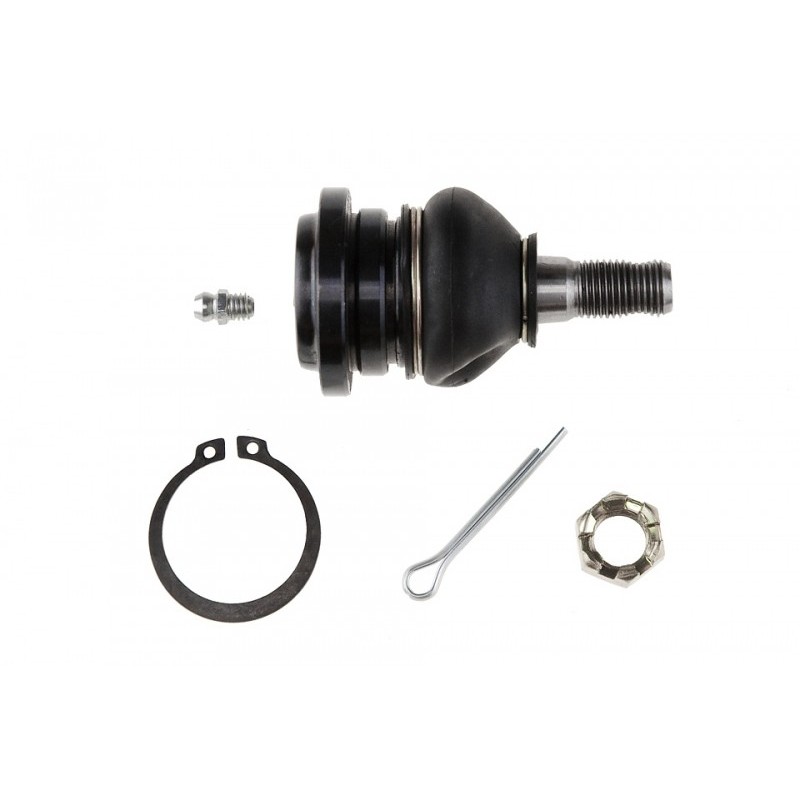 Pivot brat suspensie Lexus Is200, 300 1999-, Fata Superior, 48610-29055