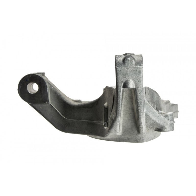 Portfuzeta Chevrolet Captiva 2012-, Dreapta, 23373013