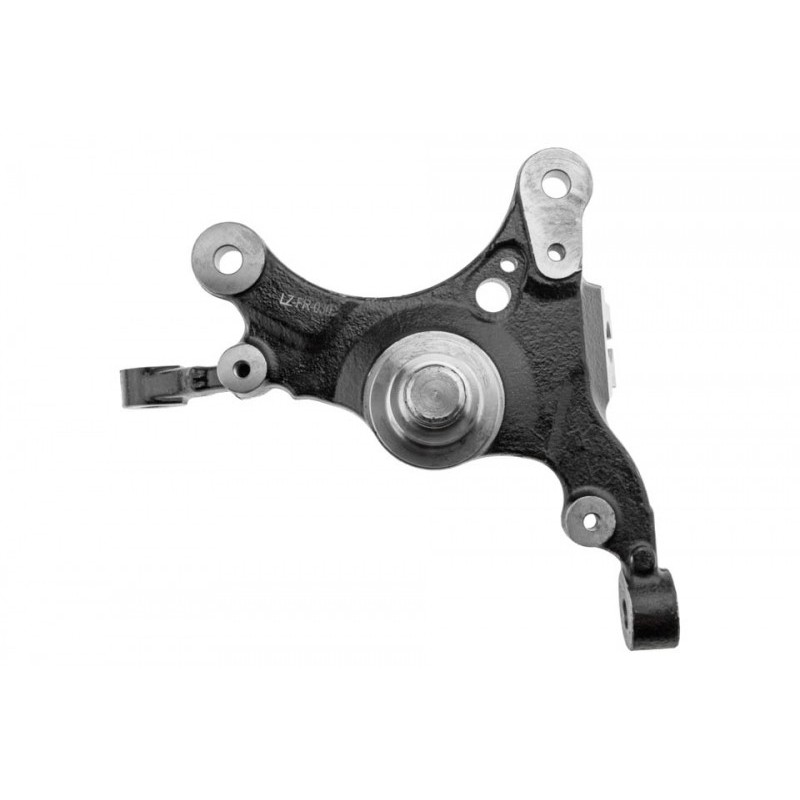 Portfuzeta Ford Mustang 2005-, Stanga, 4R3Z3106AA