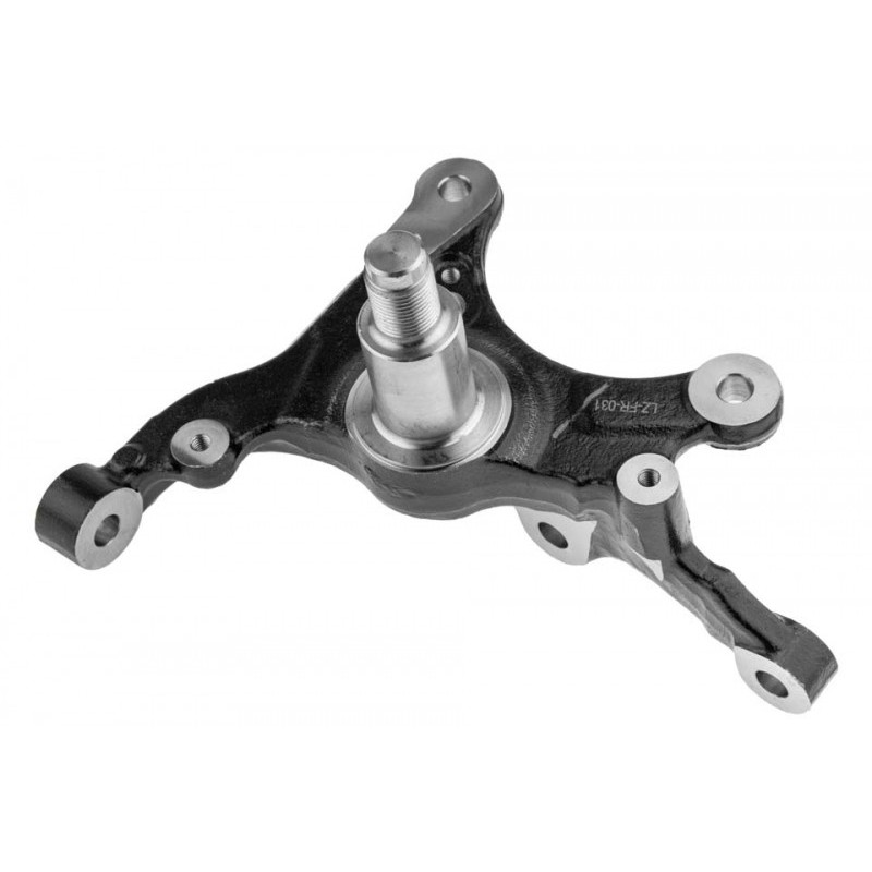 Portfuzeta Ford Mustang 2005-, Dreapta, 4R3Z3105AA