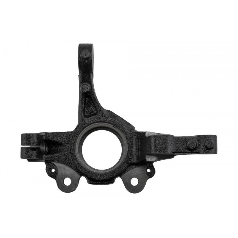 Portfuzeta Fiat Doblo 2009-, Stanga, 51810667
