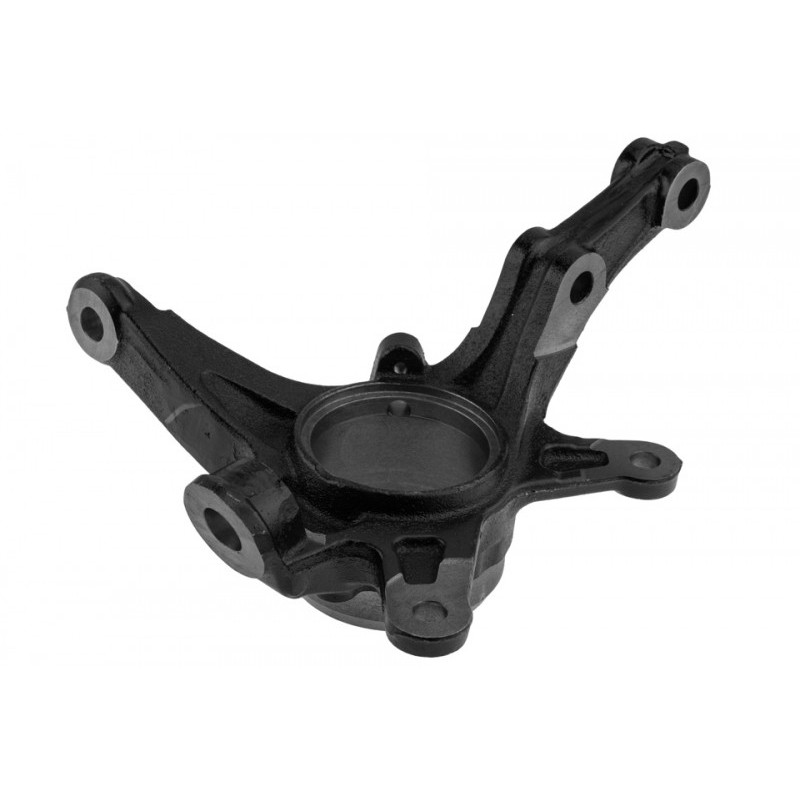 Portfuzeta Honda Civic 2006-, Stanga, 51216-SNG-010