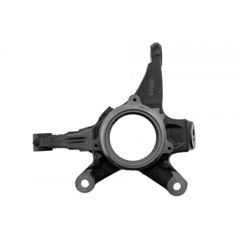 Portfuzeta Honda Civic 2006-, Stanga, 51216-SNG-010