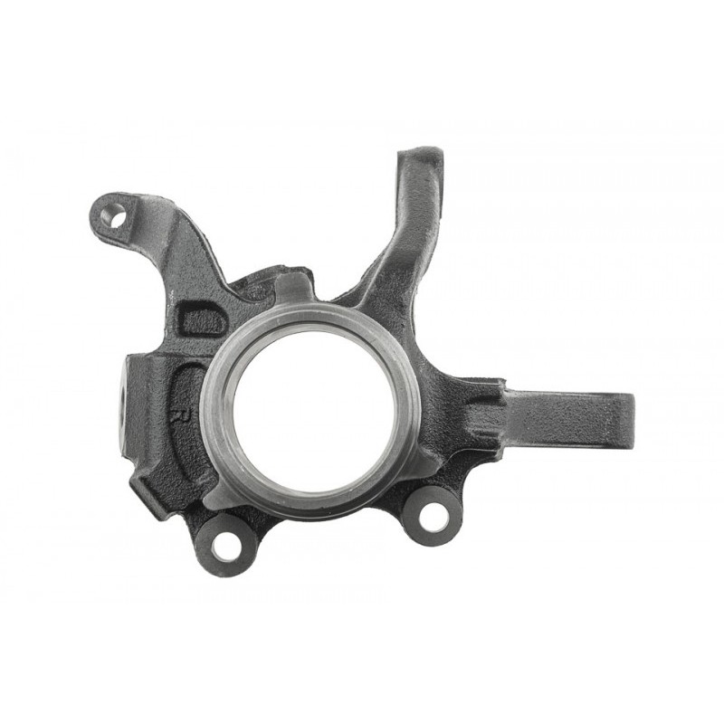 Portfuzeta Nissan X-Trail T30 2000-, Dreapta, 40014-8H300