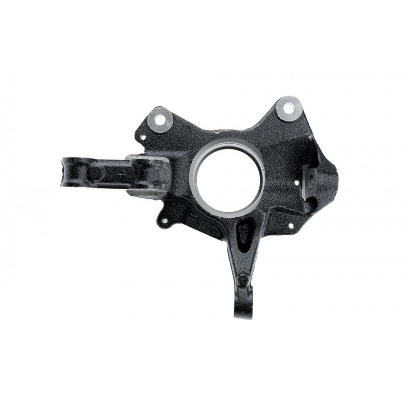 Portfuzeta Renault Megane 3 2008-2016, Stanga, 400150053R