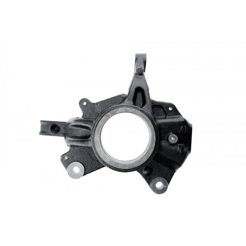 Portfuzeta Renault Megane 3 2008-2016, Stanga, 400150053R
