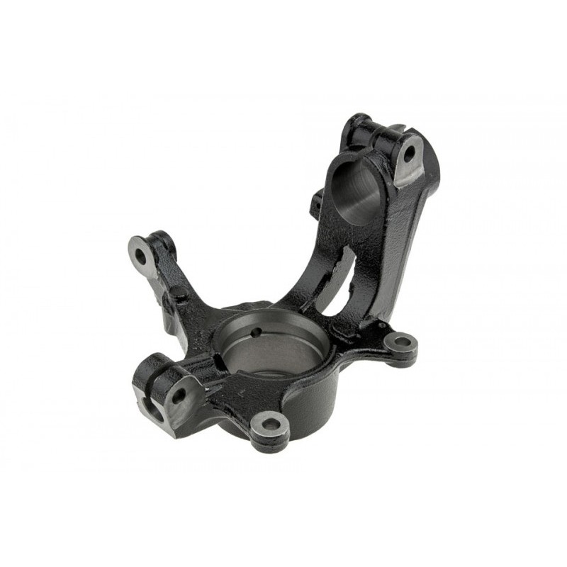 Portfuzeta Renault Megane 4 2015-, Stanga, 400157901R