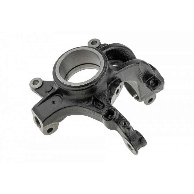 Portfuzeta Renault Megane 4 2015-, Stanga, 400157901R