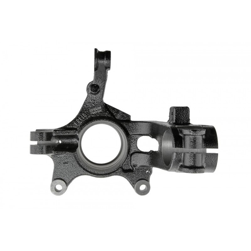 Portfuzeta Renault Megane 4 2015-, Stanga, 400157901R