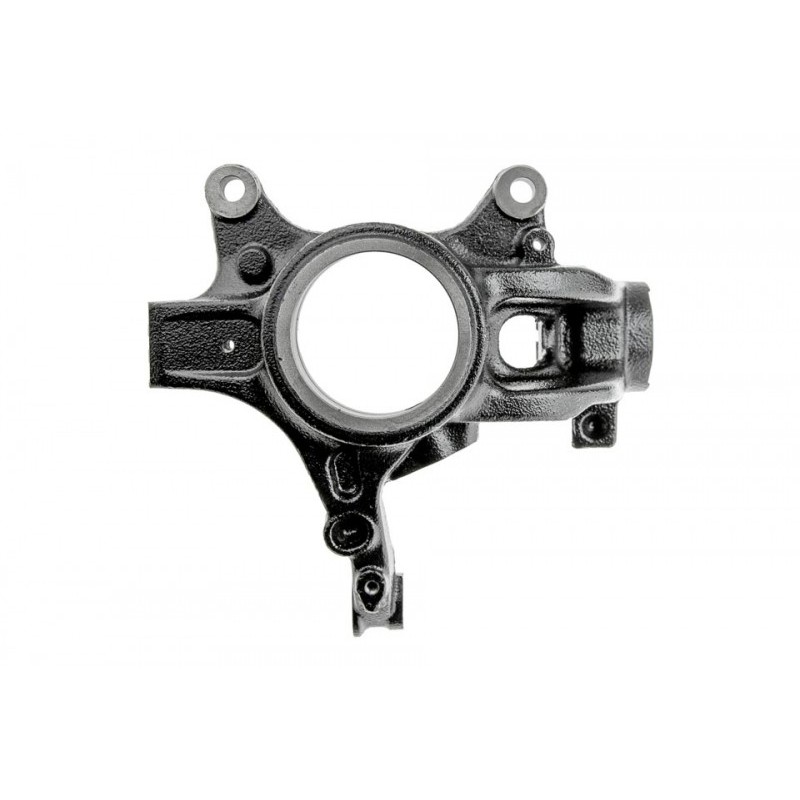 Portfuzeta Renault Megane 4 2015-, Stanga, 400157901R