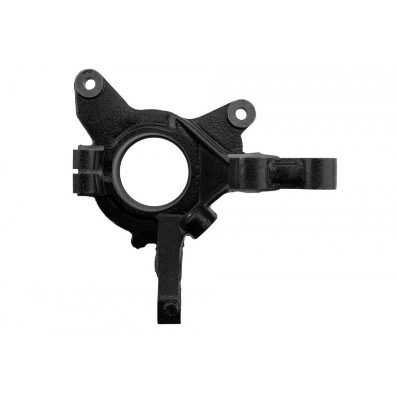 Portfuzeta Renault Megane, 1996-, Megane 2 2003-, Scenic 1999-, Dreapta, 8200171678