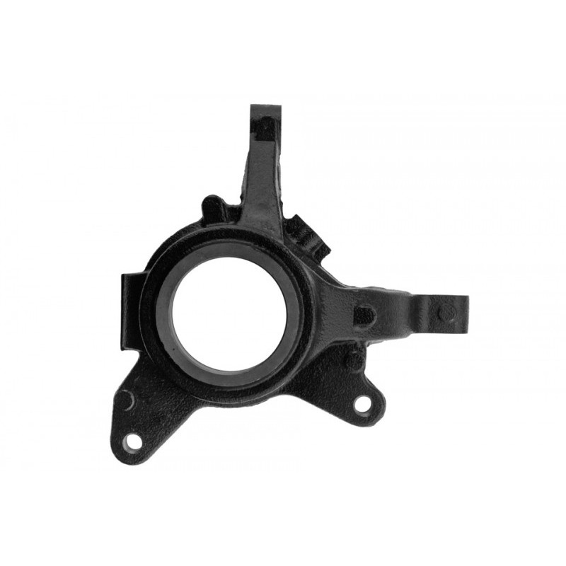 Portfuzeta Renault Megane, 1996-, Megane 2 2003-, Scenic 1999-, Dreapta, 8200171678