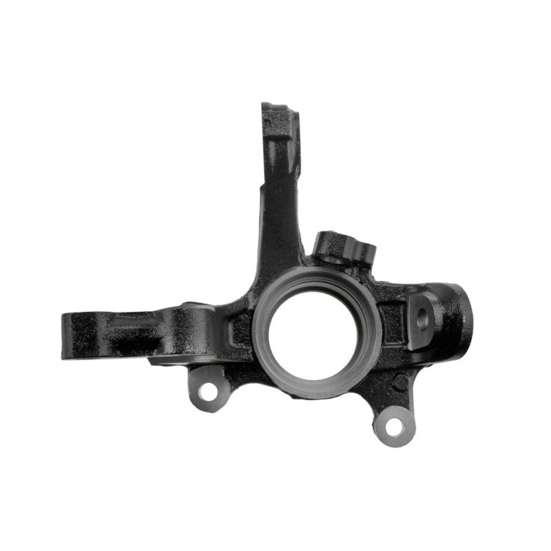 Portfuzeta Toyota Rav-4 2000-2005, Dreapta, 43211-42060