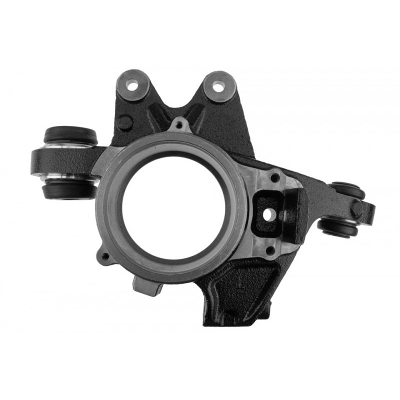 Potfuzeta spate, articulatie brat Land Rover Range Rover 2002-, Dreapta, RLH000060