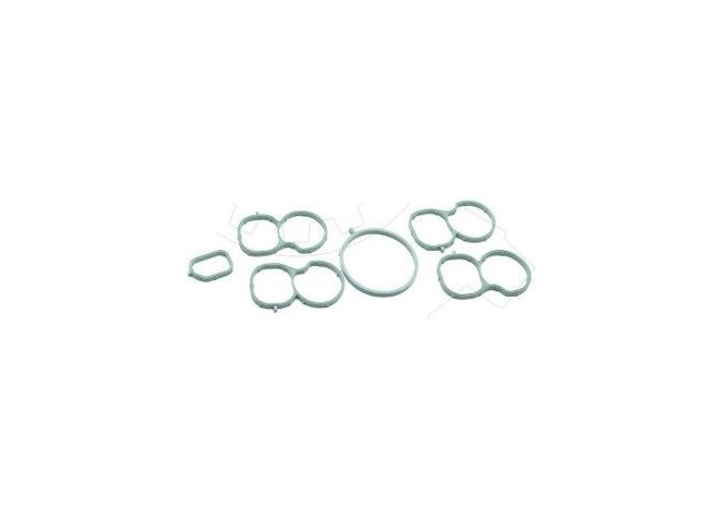 Set garnituri galerie admisie Alfa Romeo Giulietta 1.6jtdm 2010-, Fiat Bravo 1.6jtd 2008-, Doblo 1.6jtd 2010-, Grande Punto 1.6jtd 2008-, Jeep Renegade 1.6jtd 2014-, Opel Combo 1.6cdti 2012-, 55259084