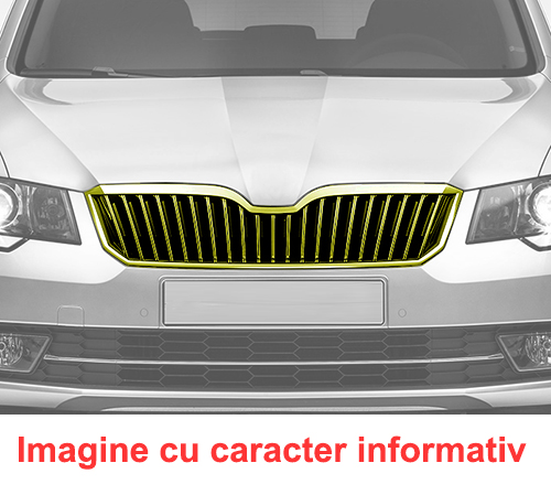 CLEME RUPTE - Grila radiator Fiat Punto Grande (199) 09.2005-02.2012, negru, 735419124, 302405