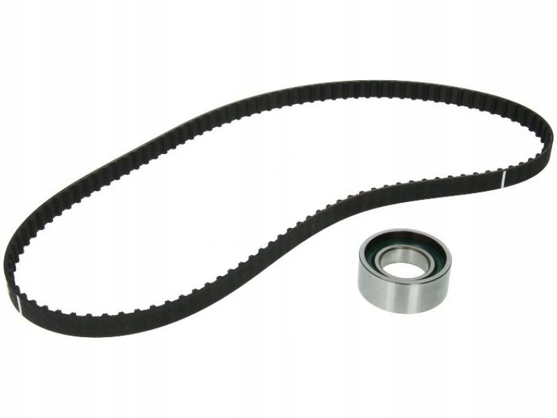 Kit distributie Ina 530020410
