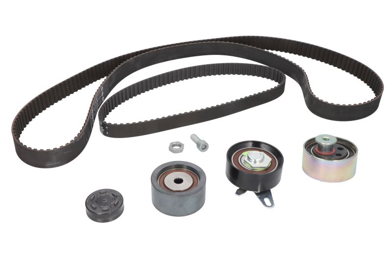 Kit distributie Ina 530041610